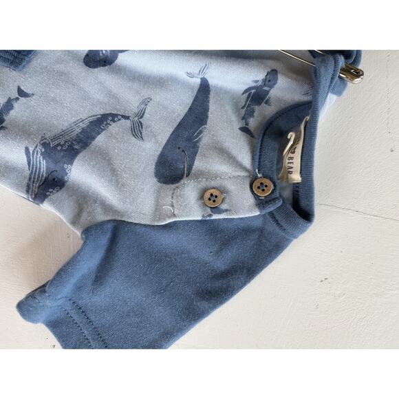 Rabbit + Bear Boys Shark Outfit Size 3-6M NWOT - Picture 5 of 5